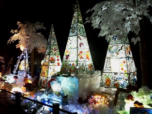 2012-12-14 14.19.36.jpg