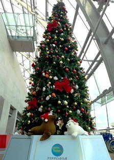 2012-12-14 14.33.26.jpg