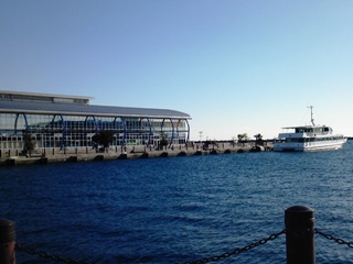 130110 onahama.JPG