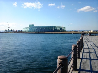131205 onahama-01.JPG