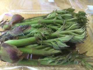 1山菜.JPG