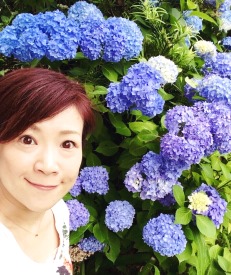 2015-06紫陽花.jpg